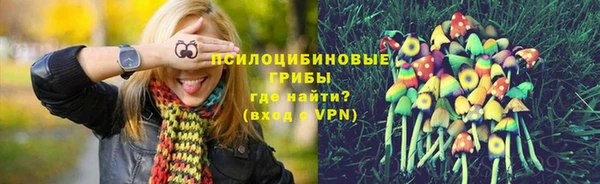ECSTASY Мегион
